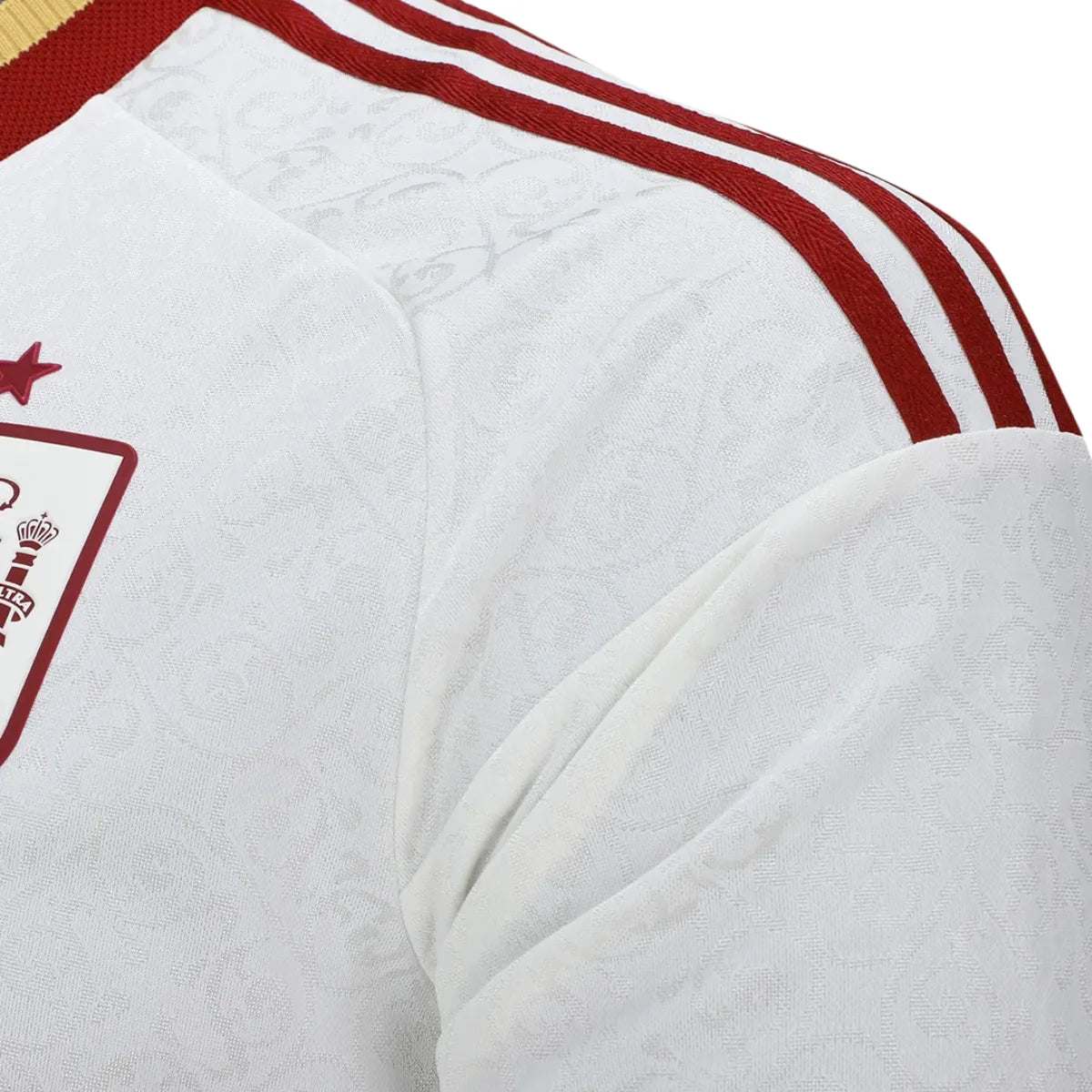 Camiseta España Hombre Segunda Equipación Manga Larga 26